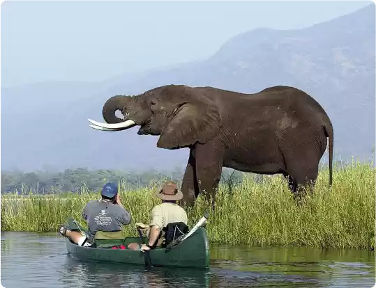 About SolomonislandsTenders